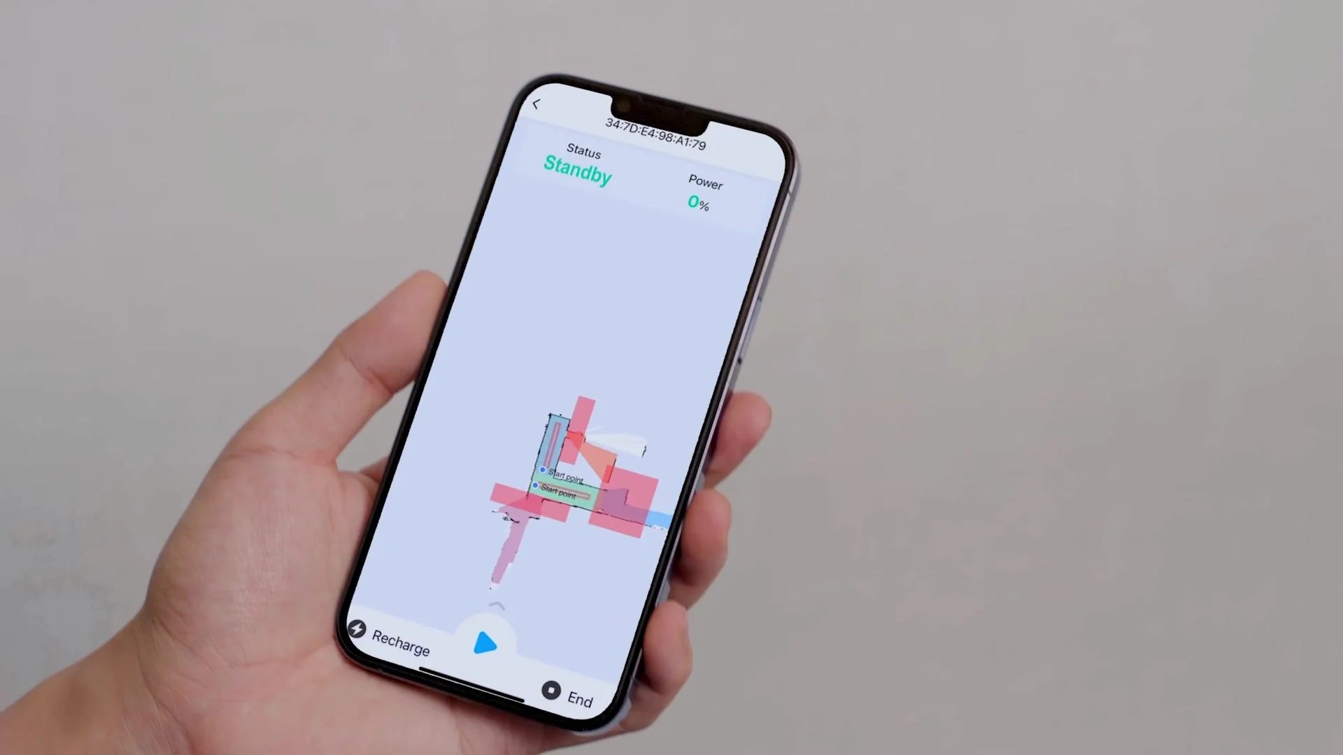 Friendly Bear-Like Design